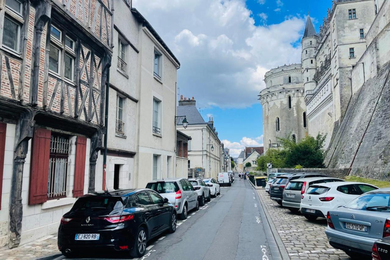 Splendid Apartment At The Foot Of The Castle Of Amboise - View Of The Loir Exterior photo